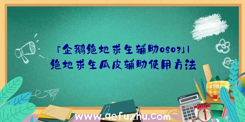 「企鹅绝地求生辅助0803」|绝地求生瓜皮辅助使用方法